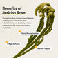 Abib Jericho rose mist serum Glow spray 100ml