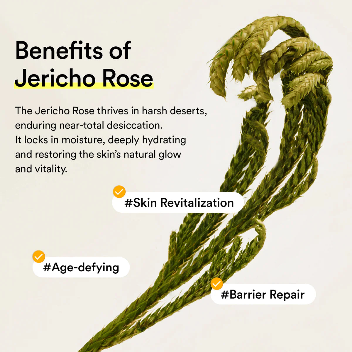 Abib Jericho rose mist serum Glow spray 100ml