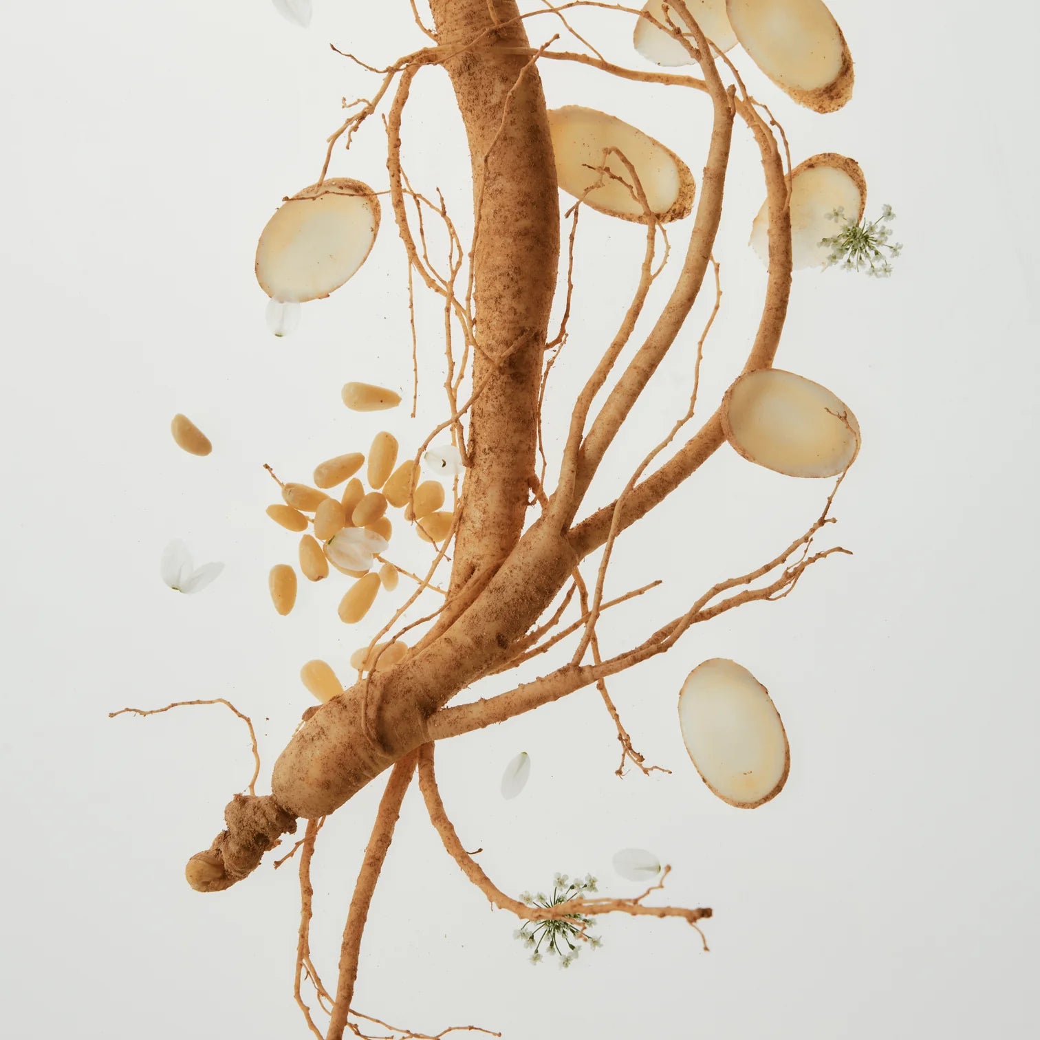 Beauty of Joseon Ginseng Retinal Revive Eye Serum 30ml