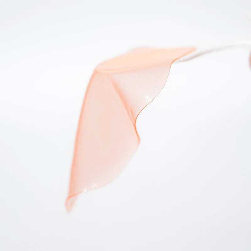 ELROEL MOISTURE JELLY LIP MASK 50g