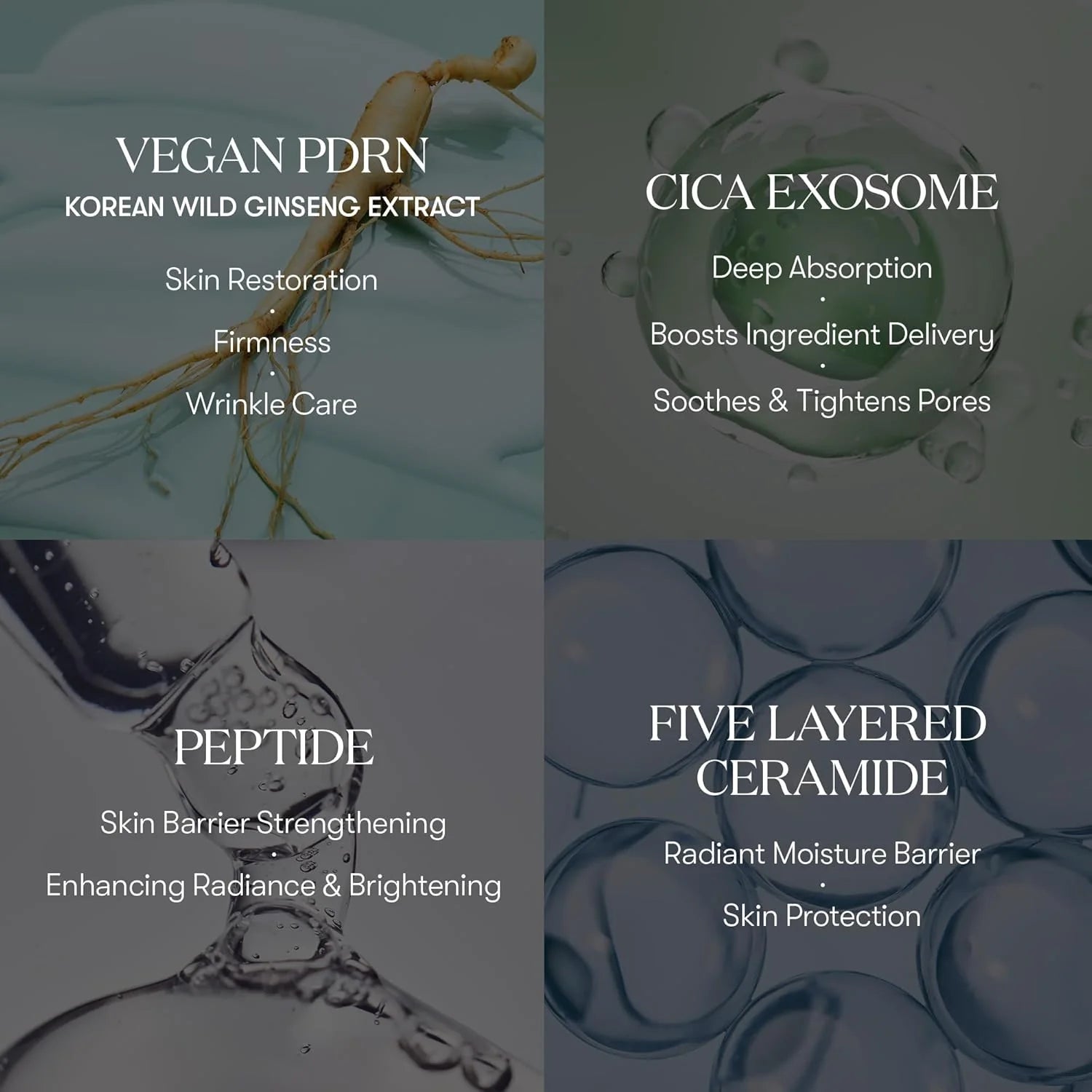 VT Cosmetics PDRN R5 Firming Ampoule 30ml