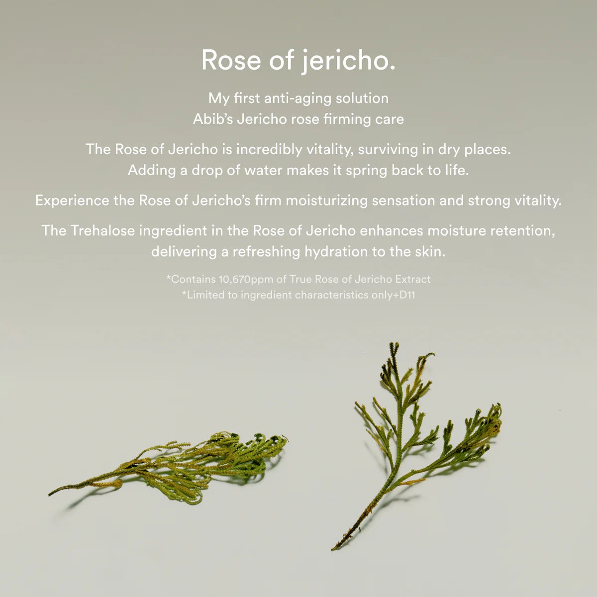 Abib Jericho rose collagen pad Firming touch 60 pads