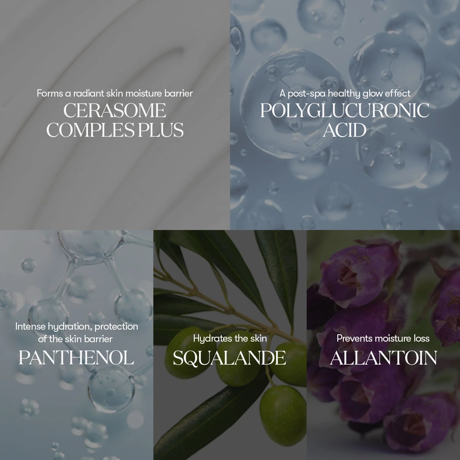 VT Cosmetics PDRN Essence 100 30ml