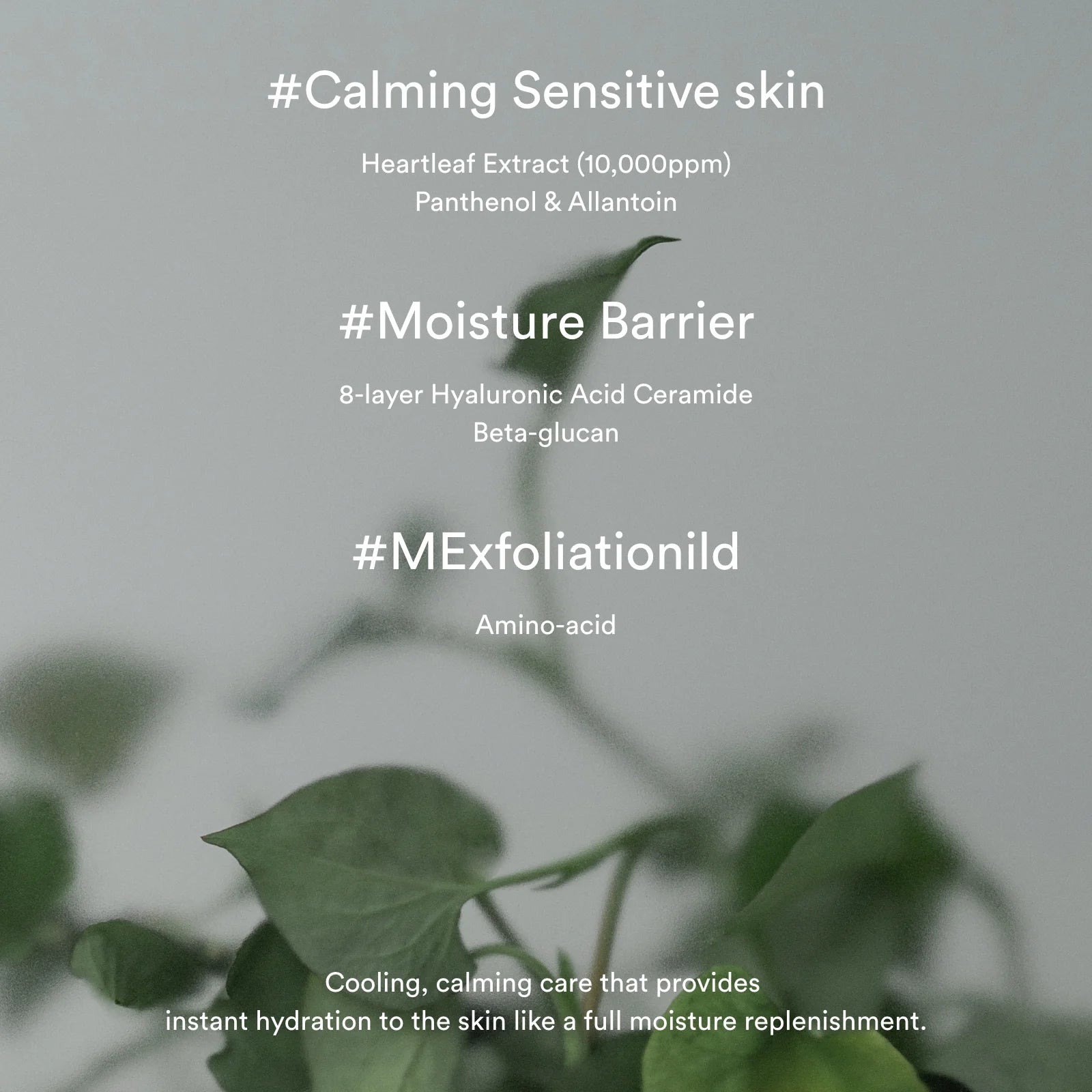 Abib Heartleaf cream Calming tube 75ml