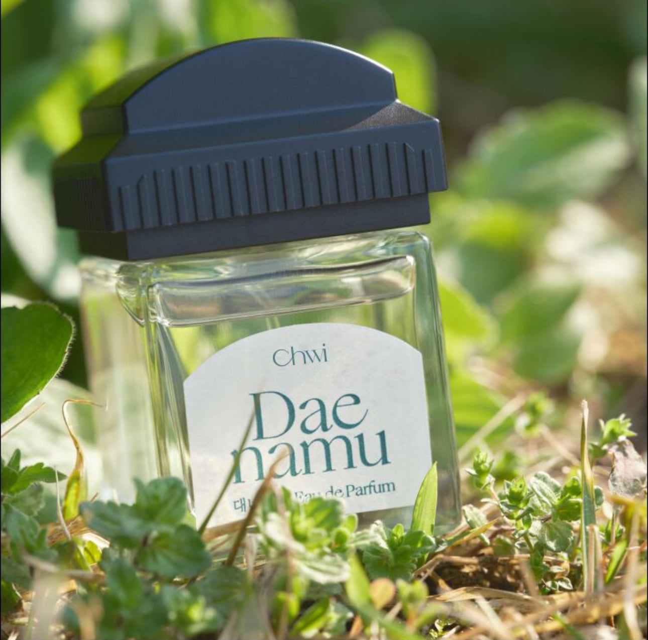 CHWI Daenamu Perfume 50ml
