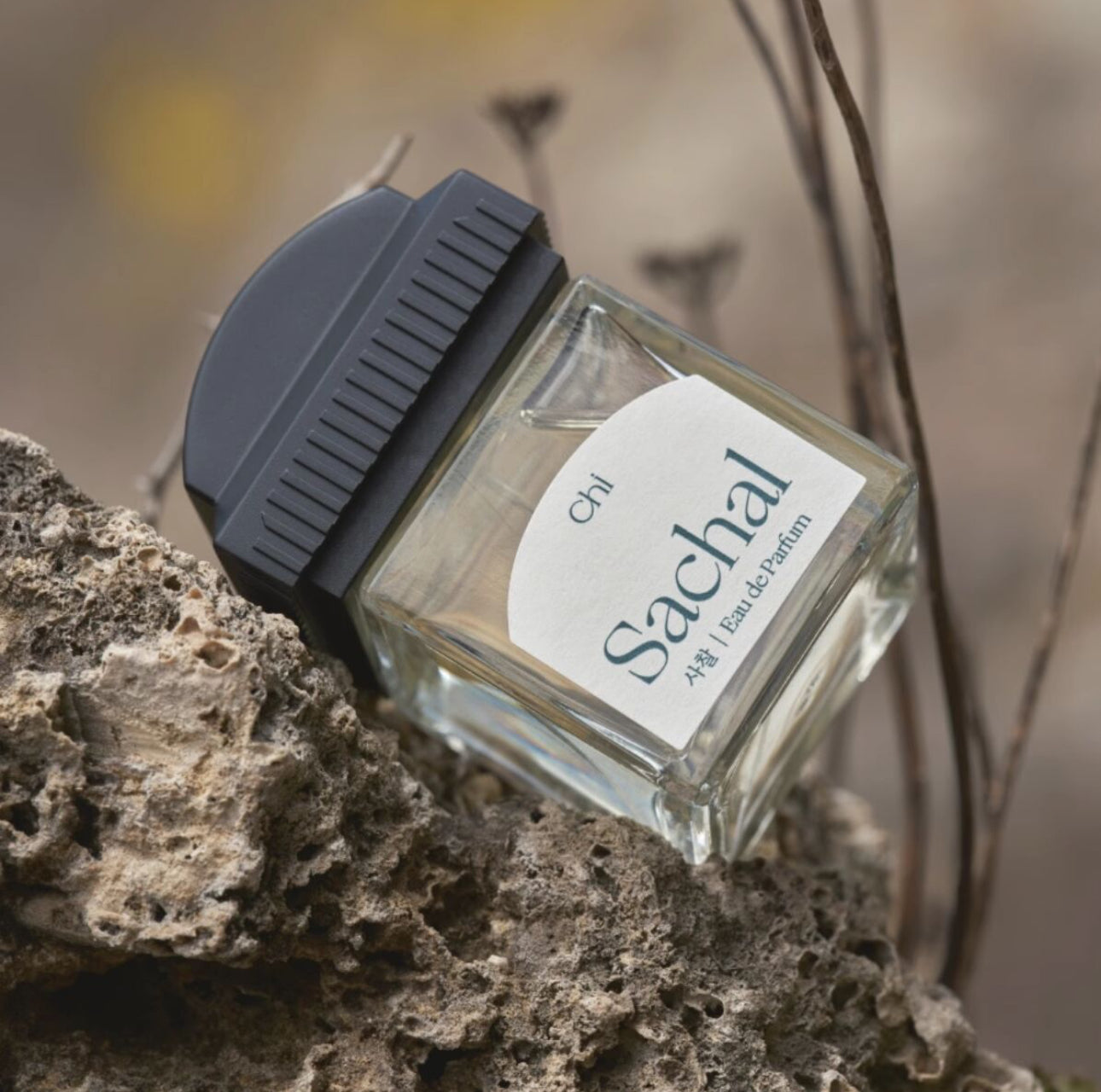 CHWI Sachal Perfume 50ml
