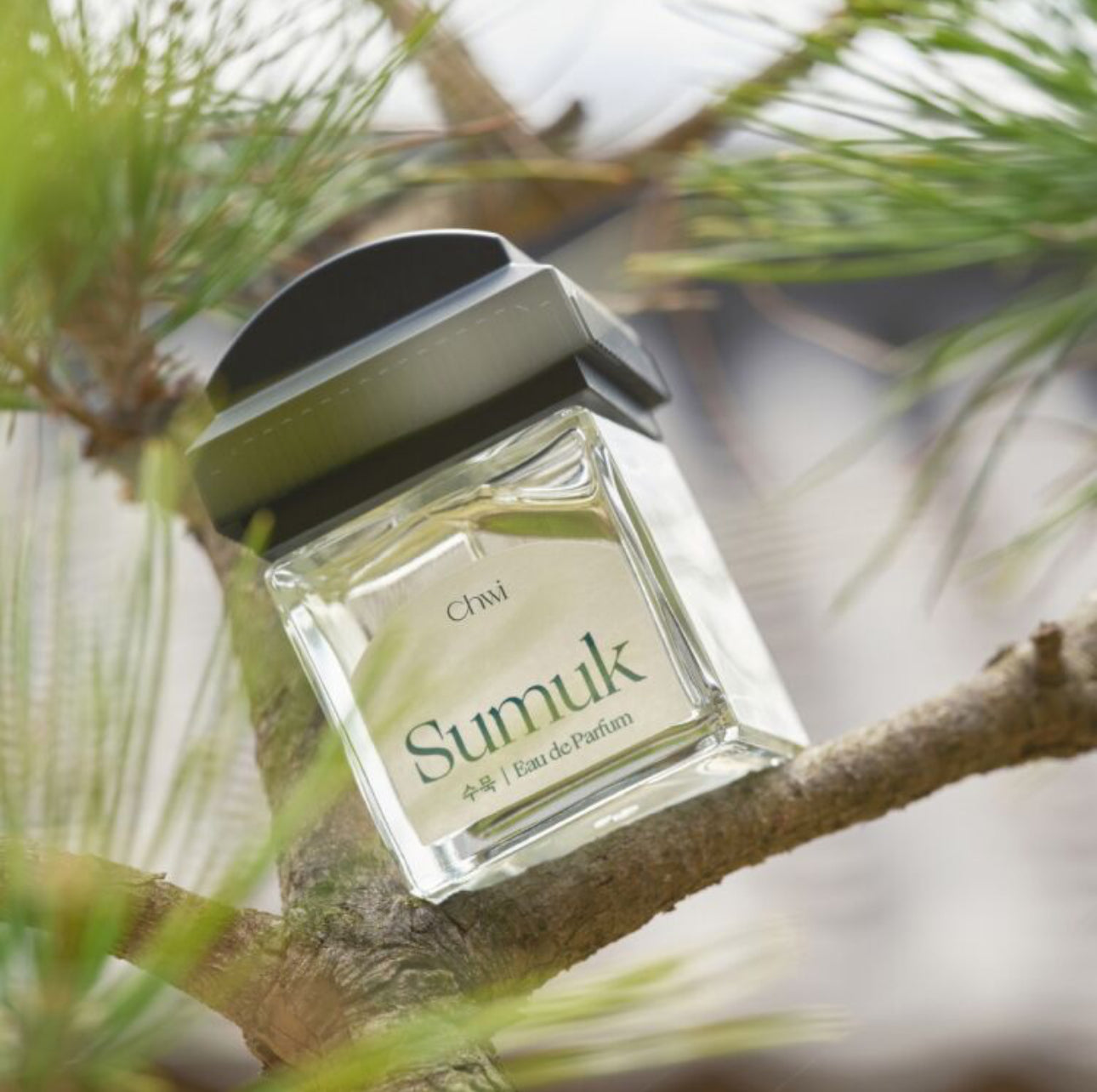 CHWI Sumuk Perfume 50ml