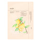Ondo Korean Mask Pack 25ml
